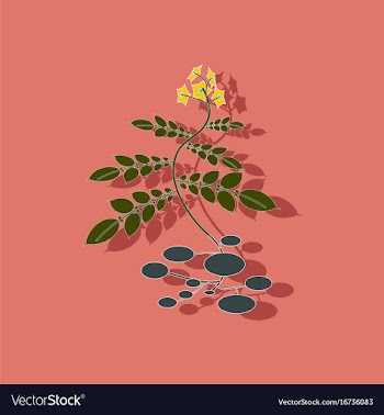 Paper sticker on stylish background plant solanum vector image