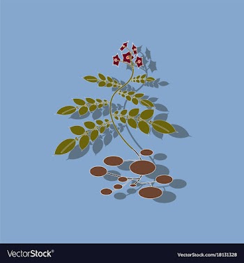Paper sticker on stylish background plant solanum vector image