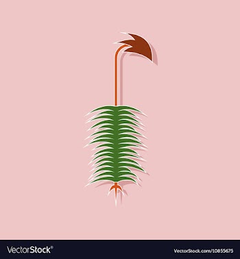 Paper sticker on stylish background plant vector image