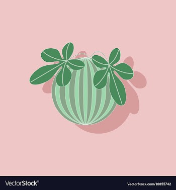 Paper sticker on stylish background plant vector image