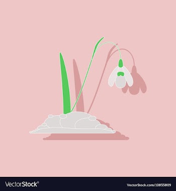 Paper sticker on stylish background plant vector image