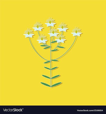 Paper sticker on stylish background plant vector image