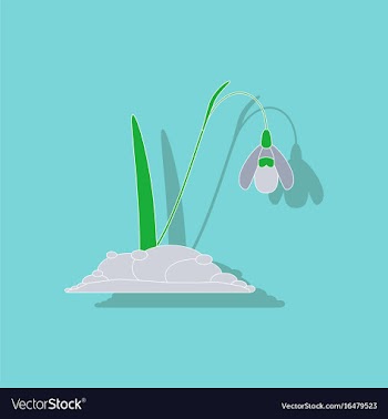 Paper sticker on stylish background plant vector image