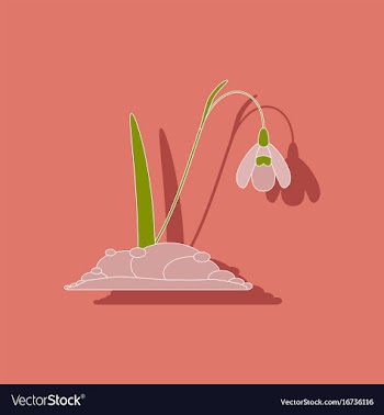 Paper sticker on stylish background plant vector image
