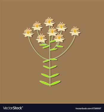 Paper sticker on stylish background plant vector image