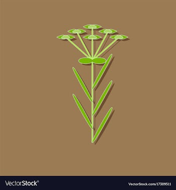 Paper sticker on stylish background plant vector image