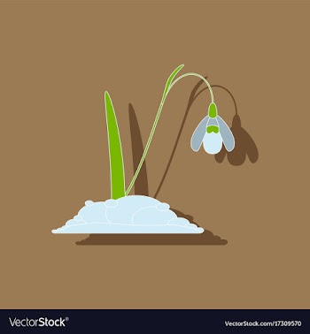 Paper sticker on stylish background plant vector image