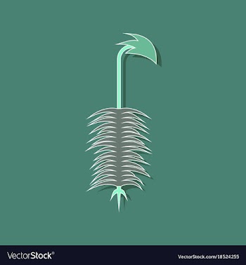 Paper sticker on stylish background plant vector image