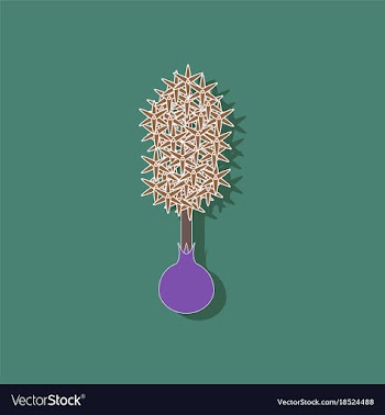 Paper sticker on stylish background plant vector image
