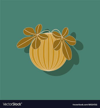 Paper sticker on stylish background plant vector image