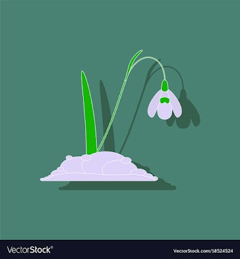 Paper sticker on stylish background plant vector image
