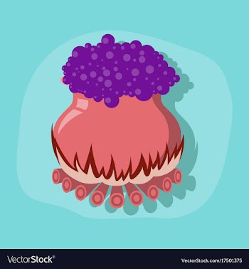 Paper sticker on stylish background potion vector image