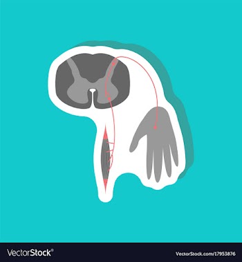 Paper sticker on stylish background reflex arc vector image