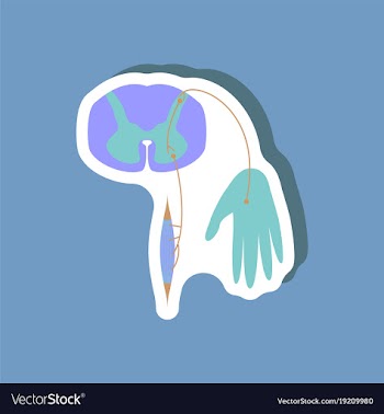 Paper sticker on stylish background reflex arc vector image