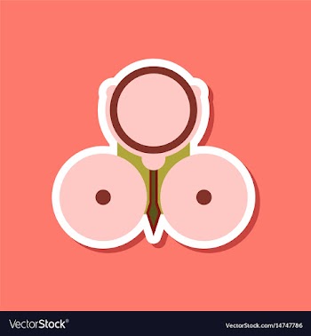 Paper sticker on stylish background school bell vector image