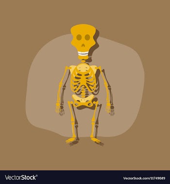 Paper sticker on stylish background skeleton vector image