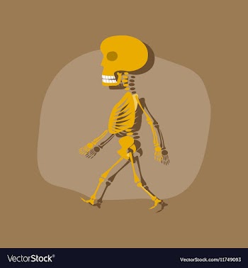 Paper sticker on stylish background skeleton vector image