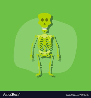 Paper sticker on stylish background skeleton vector image