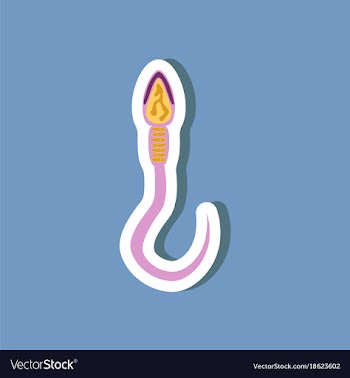 Paper sticker on stylish background spermatozoon vector image