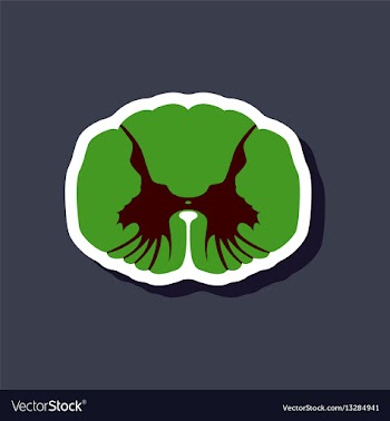 Paper sticker on stylish background spinal cord vector image