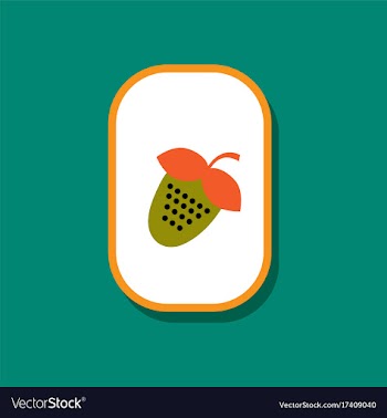 Paper sticker on stylish background strawberry vector image