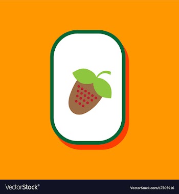 Paper sticker on stylish background strawberry vector image