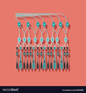 Paper sticker on stylish background structure vector image