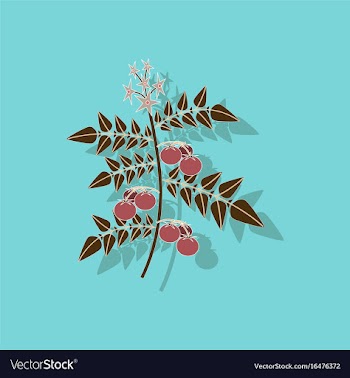 Paper sticker on stylish background tomato plant vector image