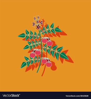 Paper sticker on stylish background tomato plant vector image
