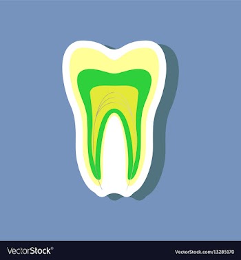 Paper sticker on stylish background tooth vector image