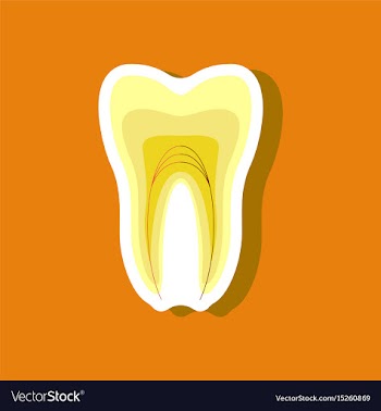 Paper sticker on stylish background tooth vector image