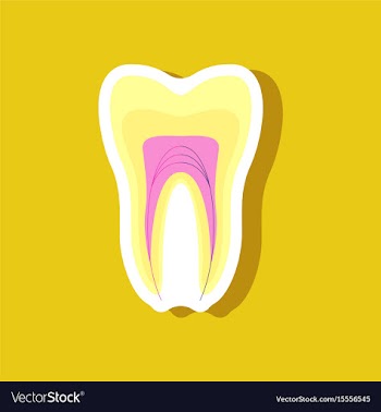 Paper sticker on stylish background tooth vector image