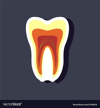 Paper sticker on stylish background tooth vector image