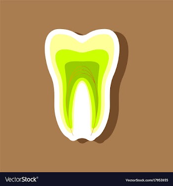 Paper sticker on stylish background tooth vector image