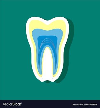 Paper sticker on stylish background tooth vector image