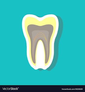 Paper sticker on stylish background tooth vector image