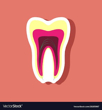 Paper sticker on stylish background tooth vector image