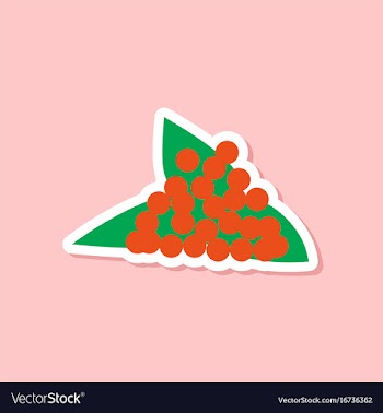 Paper sticker on stylish background viburnum vector image