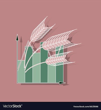 Paper sticker on stylish background wheat vector image