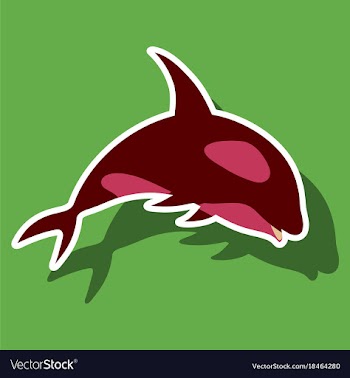 Paper sticker on theme save whales killer whale vector image