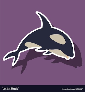 Paper sticker on theme save whales killer whale vector image