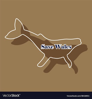 Paper sticker on theme save whales silhouette of vector image