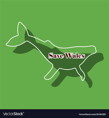 Paper sticker on theme save whales silhouette of vector image