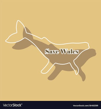 Paper sticker on theme save whales silhouette of vector image