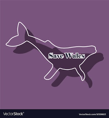 Paper sticker on theme save whales silhouette of vector image