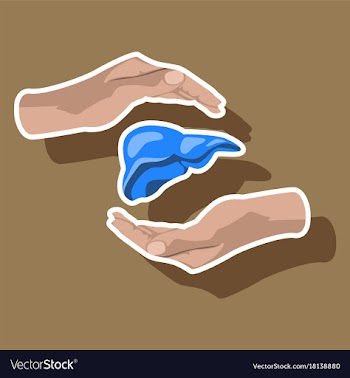 Paper sticker on theme world hepatitis day liver vector image