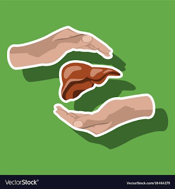 Paper sticker on theme world hepatitis day liver vector image