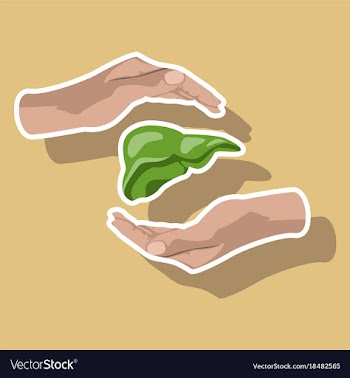 Paper sticker on theme world hepatitis day liver vector image