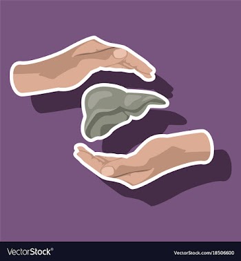Paper sticker on theme world hepatitis day liver vector image