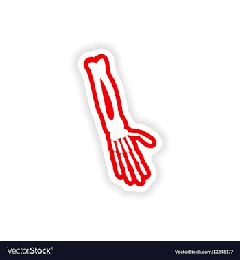 Paper sticker on white background arm bone vector image